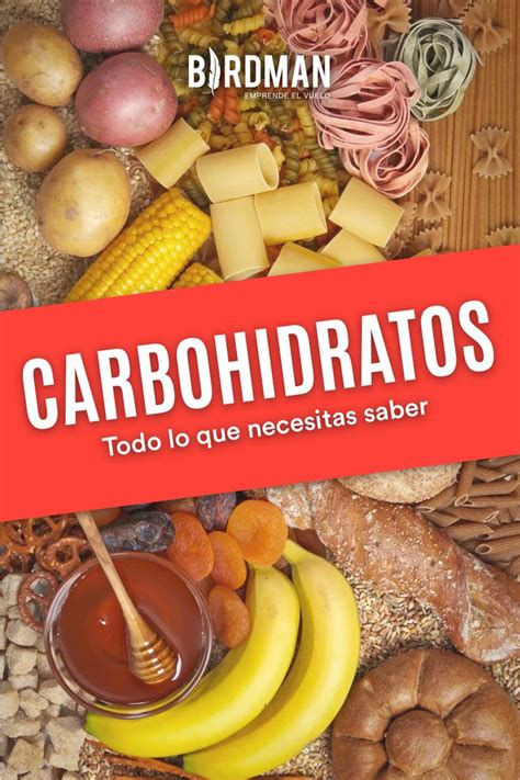 Carbohidratos Sus Tipos Propiedades Y Composición Carbohidratos
