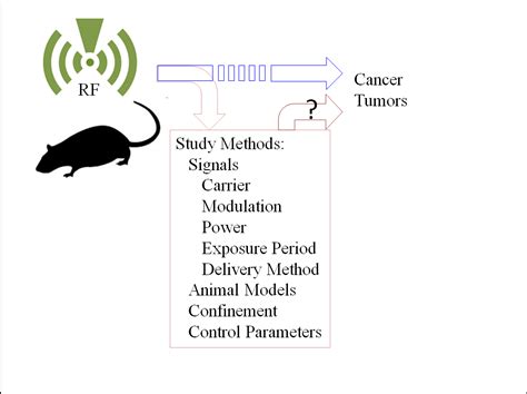 How to write a paper in ieee format: Ieee lab report format. Gallery. 2019-01-13