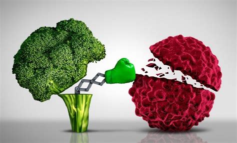+ = alimentazione può ridurre il tumore al seno. Alimentazione e tumori: quale dieta scegliere?