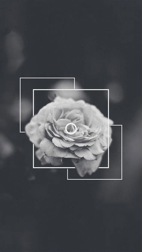 Wallpaper 4K Aesthetic Black : 4K Black Wallpapers Wallpapers High