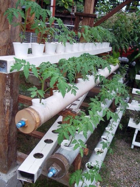 Nice Easy 25 Diy Hydroponic Gardening Ideas That You Could Do Yourself