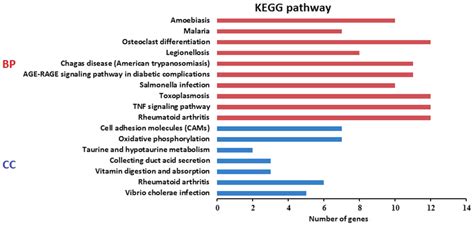 Our analysis revealed the top enriched go terms and kegg pathways of each drug category, which were highly enriched in the literature and clinical trials. KEGG pathway enrichment analysis. KEGG, Kyoto Encyclopedia ...