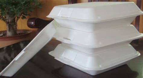 Disposable food service containers made of expanded polystyrene that will be banned under the law include bowls, cartons, hinged clamshell containers, cups, lids, plates, trays, or any other product designed or used to temporarily store or transport prepared foods or beverages, and includes any container generally recognized as designed for single use. Polystyrene Food Containers : Polystyrene Containers ...