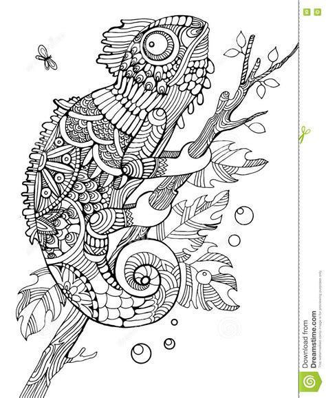 Chameleon Coloring Book Illustration Black And White Lines