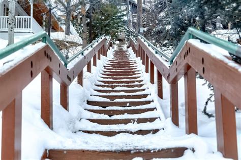 Stairway On A Scenic Nature And Residential Landscape With White Snow