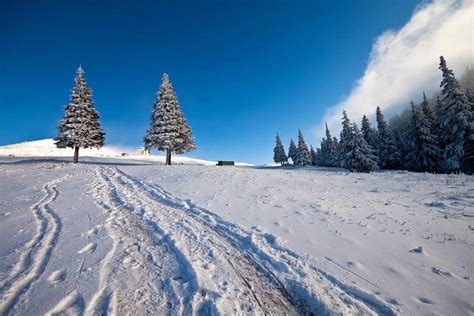 Poze Cu Iarna In Romania ÎŢi Mai AminteŞti CrĂciunul