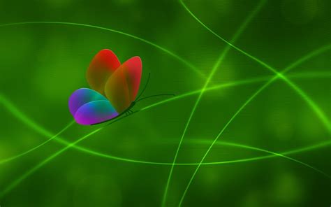 Free Download Green Butterfly Wallpaper 04 1536x1036 For Your Desktop