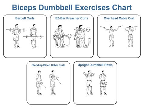Best Dumbbell Exercises Chart Printable Workout Chart Dumbbell