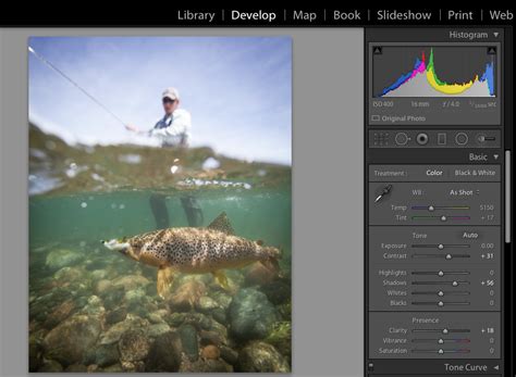 Once you find the right tone, you can use the saturation slider to determine how. How to Fix Grainy Photos? - Stellar Data Recovery Blog