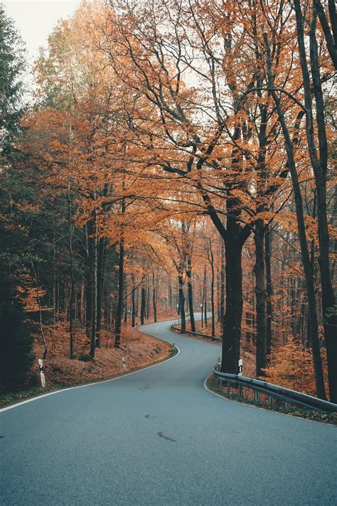 Autumn Scenery Pictures Download Free Images On Unsplash