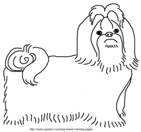 Shih tzu in floral & mandala style with heartwarming quotes. Dog Breed Coloring Pages | HubPages
