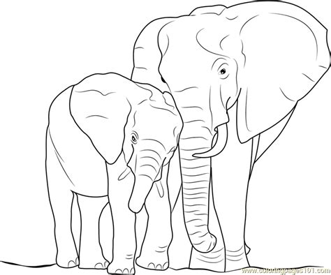 Elephant With Baby Coloring Page Free Elephant Coloring Pages