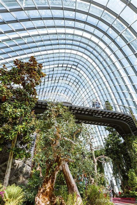 Cloud Forest Gardens By The Bay Singapore Royalty Free Image