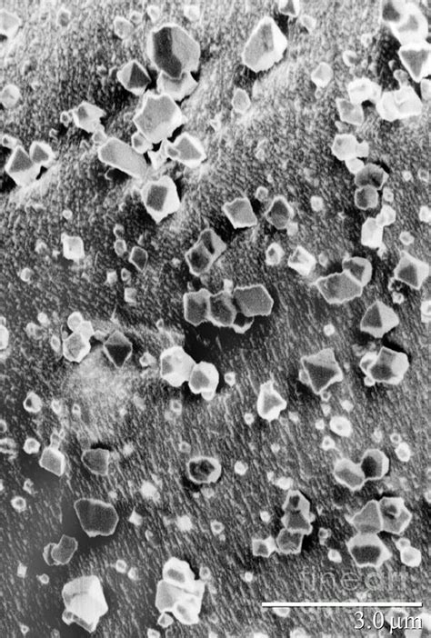 Martian Carbon Dioxide Crystals Photograph By National Snow And Ice