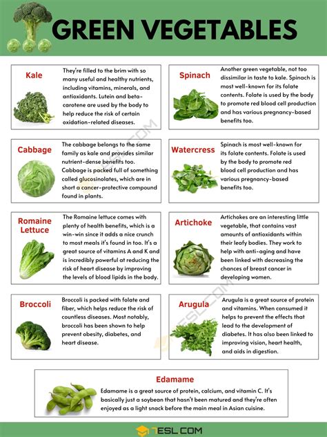 Best Green Vegetables For Your Health Definitive List Hot Sex Picture