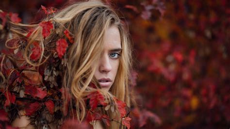 Wallpaper Fall Leaves Women Outdoors Model Portrait Blonde
