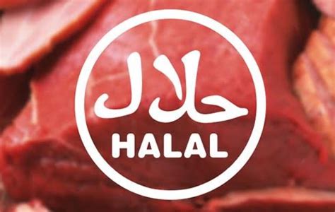 Unfortunately, there are currently no halal alternatives which can provide the advantages of credit cards, some of which are real. Halalkjøtt-debatt på et annet nivå - Document
