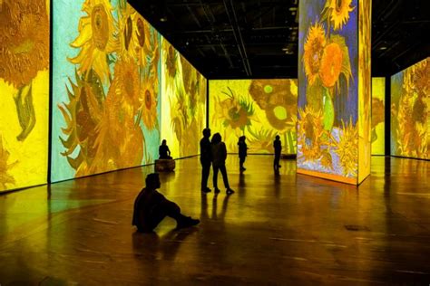 Van Gogh Experiencia De Arte Inmersiva Llega A La Redonda