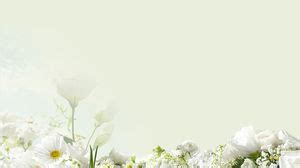 Latar Belakang Hijau Elegan Gambar Latar Belakang PPT Floral Putih PowerPoint Template Free Download
