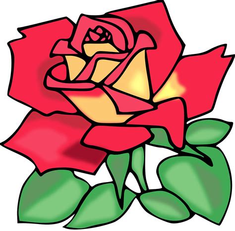 Mawar Merah Jambu Bunga Gambar Vektor Gratis Di Pixabay Pixabay