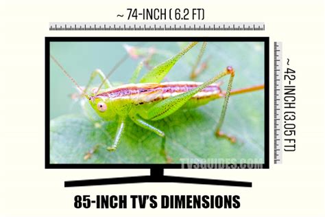 75 Vs 85 Inches Tv The Comparison On Sizes Dimensions Distance