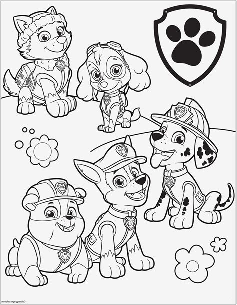 We shop and deliver, and you enjoy. 99 Einzigartig Paw Patrol Ausmalbilder Tracker Stock ...
