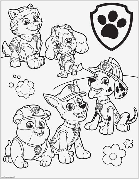 Paw patrol ausmalbilder sky paw patrol malvorlagen frisch paw. 99 Einzigartig Paw Patrol Ausmalbilder Tracker Stock | Kinder Bilder