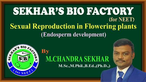 Endosperm Development In Angiosperms And Its Types For Neet Ii By