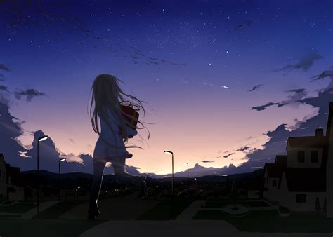 Night Sky Anime Girl 2240x1600 Download Hd Wallpaper Wallpapertip