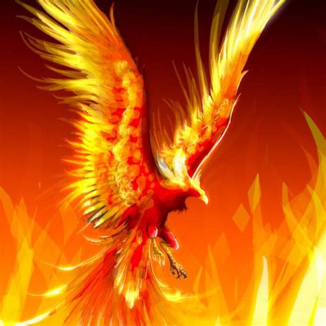 The Golden Flaming Phoenix Youtube
