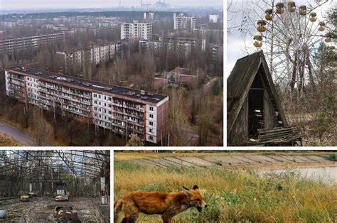 Chernobyl is a 2019 historical drama television miniseries that revolves around the chernobyl disaster of 1986 and the cleanup efforts that followed. Se cumplen 34 años de la tragedia nuclear en Chernóbil ...
