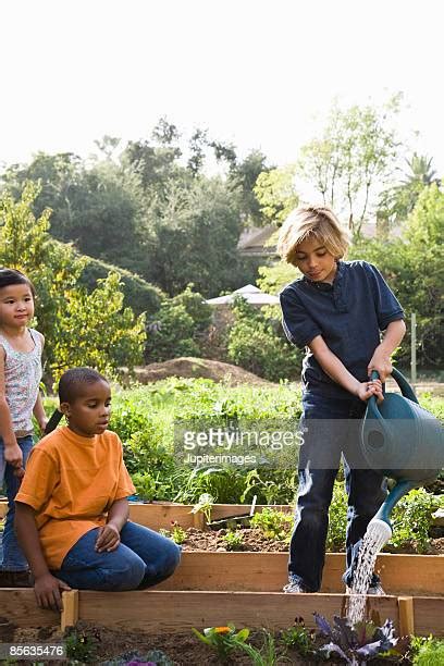 African American Girl Watering Can Photos And Premium High Res Pictures