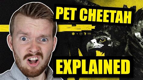 Pet Cheetah Twenty One Pilots Song Lyrics Explained Acordes Chordify