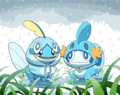 Two Water Type Starters In The Rain Pokémon Pokemon Cute Pokemon
