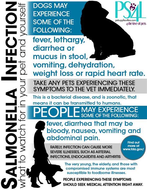 Symptoms of norovirus food poisoning begin 12 to 48 hours after exposure and include abdominal cramps, along with watery diarrhea (more common if you see your doctor, they will perform a medical history and physical examination. Did you know your pets can get salmonella food poisoning ...