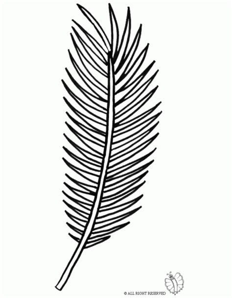 Palm Leaves Coloring Page