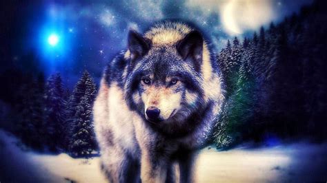 Magic Wolf Wallpapers Free Download