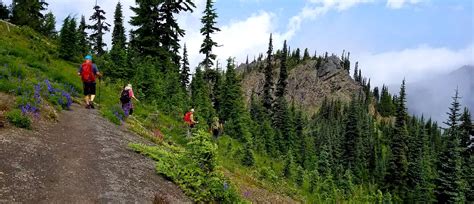 Best Times To Visit Olympic National Park Wildland Trekking