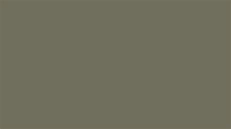 Pantone 18 0521 Tpg Burnt Olive Color Hex Color Code 706e5c