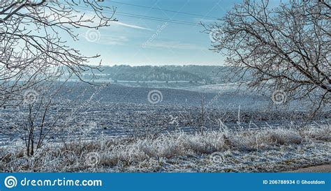 Winter Moring Among Fields Stock Photo Image Of Meadow 206788934