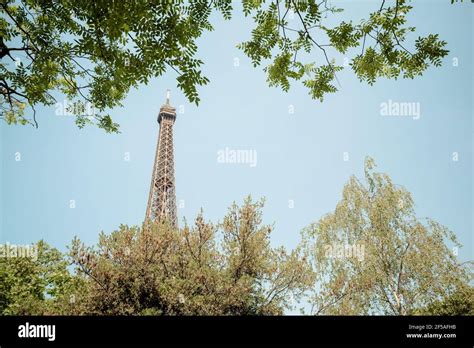 Eiffel Tower Seen Through Branches Stock Photo Alamy