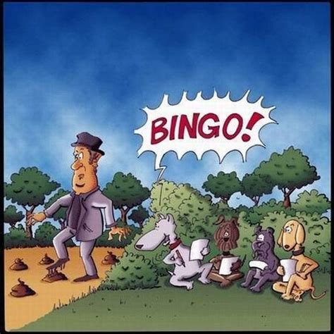 Pin By Boris On юмор Bingo Funny Funny Cartoons