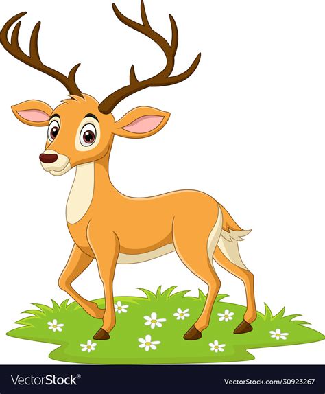 Cartoon Deer In Grass Royalty Free Vector Image