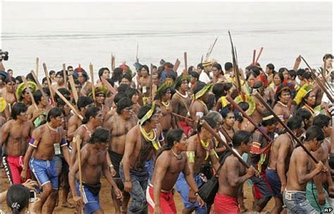 the triumph of brazil s indigenous peoples