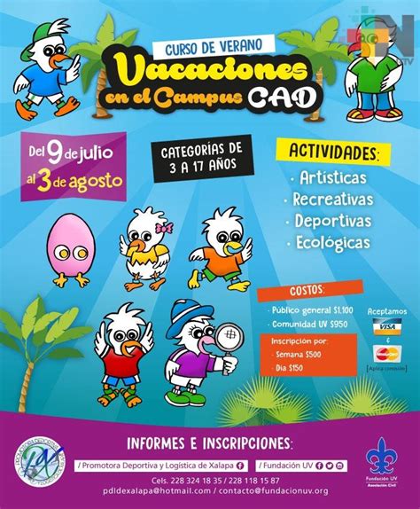 Llegan Las Vacaciones En El Campus Cad Como Opción Para Los Niños Y