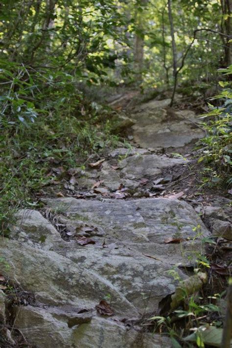 Morgan Run Offers A Wilderness Experience Just Down The Road Owings