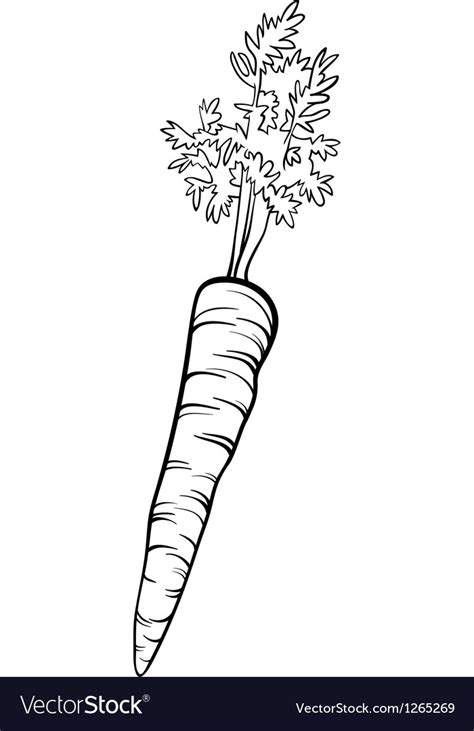 Carrot Vegetable Cartoon For Coloring Book Vector Image