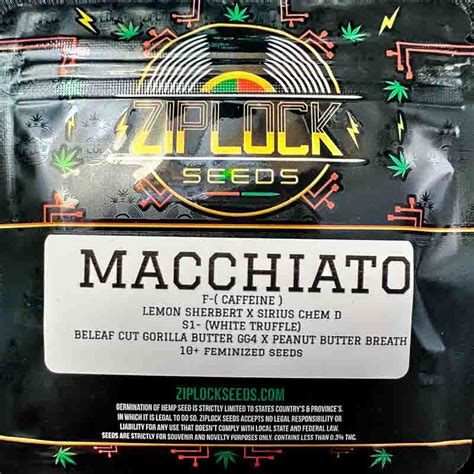 Ziplock Seeds Macchiato 10 Feminized Seeds Gaslamp Seeds