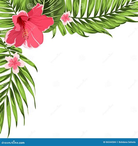 Exotic Tropical Corner Decoration Template Flowers Stock Vector