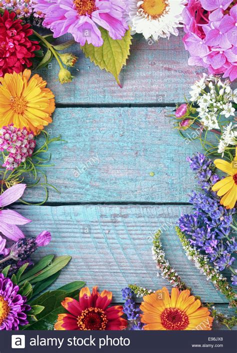 49,000+ vectors, stock photos & psd files. Beautiful fresh floral border of assorted colorful summer ...